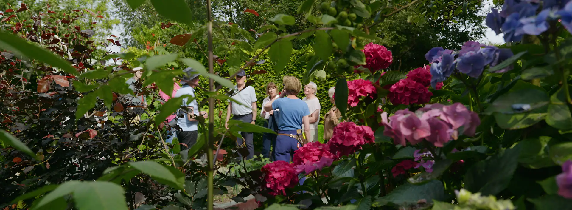 Exclusive Friends Treats And Team Days banner