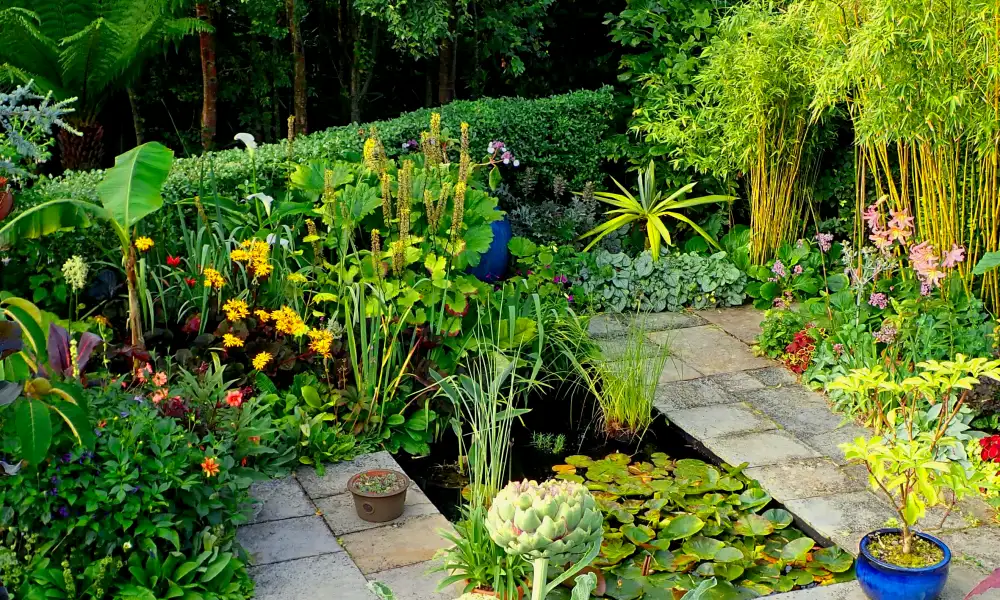 Pond in high summer at Ardán Garden during a garden visit