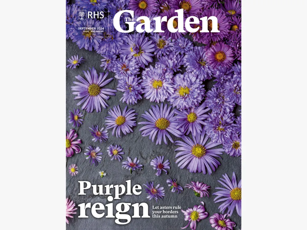 The Garden - Purple Reign