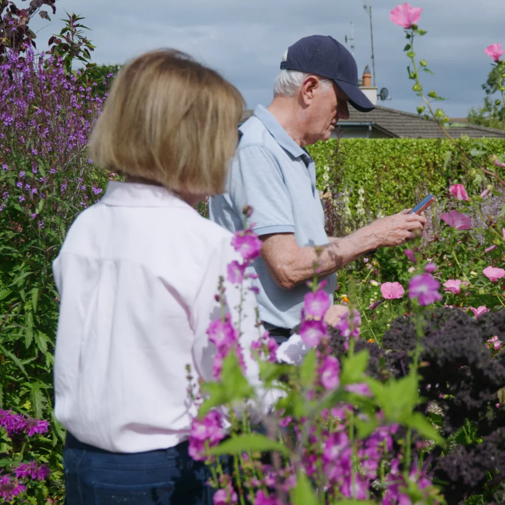 Guests taking photos and enjoying the garden visit