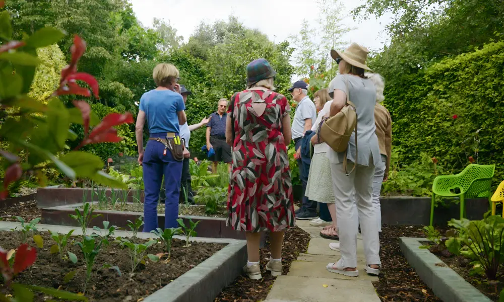 Friends Day Out Experience