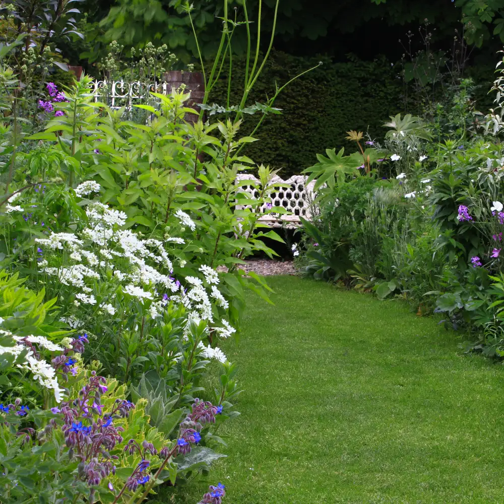 Long blue view to white chair