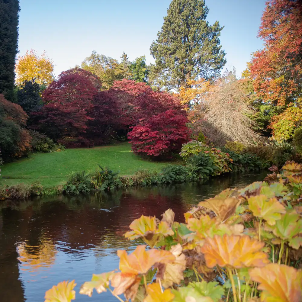 Mount Usher Garden