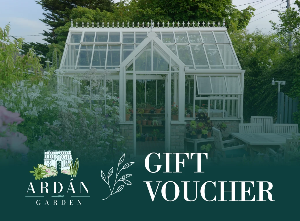 Gift Voucher