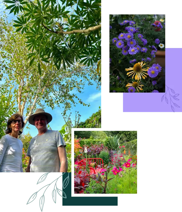 The Story of Ardan Garden